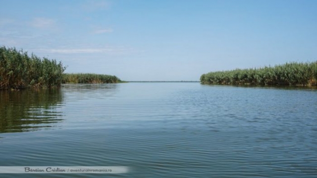 Lacul Rosulet